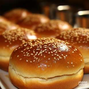 Pains Burgers