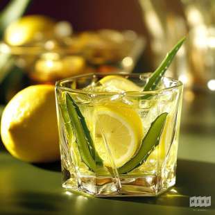 Recette Boisson alcoolisée : Elixir d'Aloe Vera