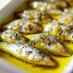 Sardines à l'Huile d'Olive