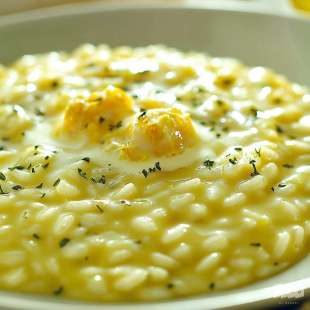 Risotto à la Crème d'Oursin