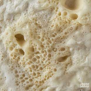 Levain dur