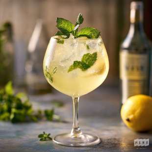Gin Fizz