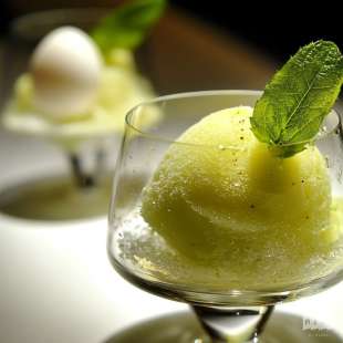 Sorbet Verveine Citron