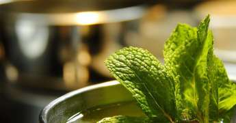 Sirop à la Menthe
