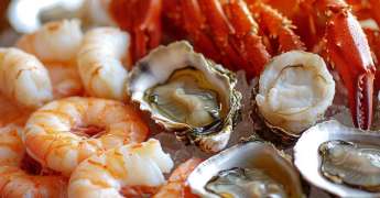 Plateau de Fruits de Mer Gastronomique