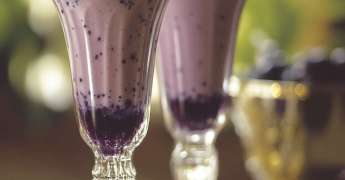 Milkshake Myrtille
