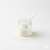 Gomme Xanthane