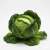 Chou Vert