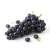 Raisin Noir