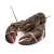 Homard