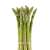 Asperge Verte