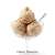 Glace Noisette