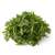 Roquette