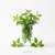 Verveine
