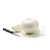 Oignon Blanc