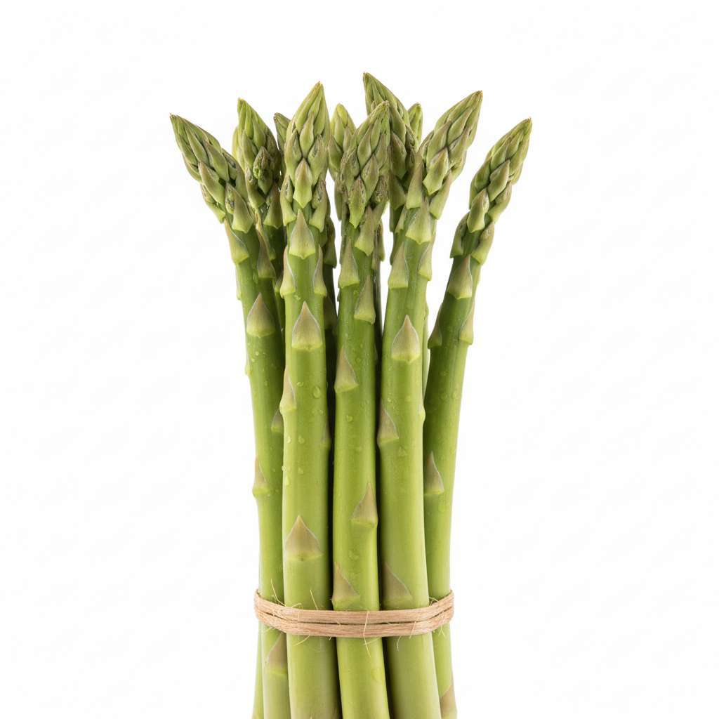 Asperge Verte