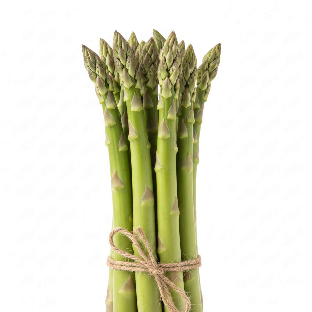 Asperge Verte en Botte