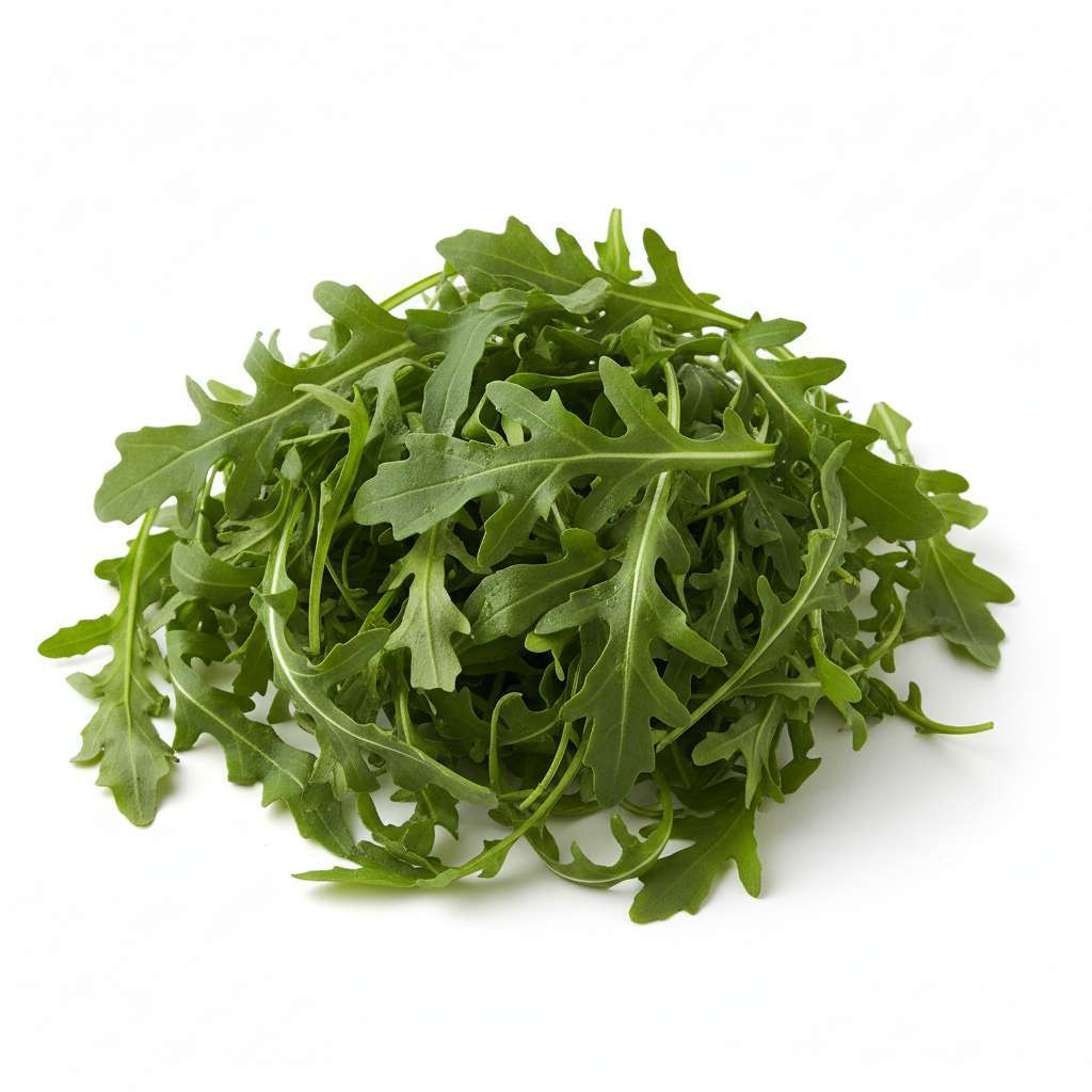 Roquette