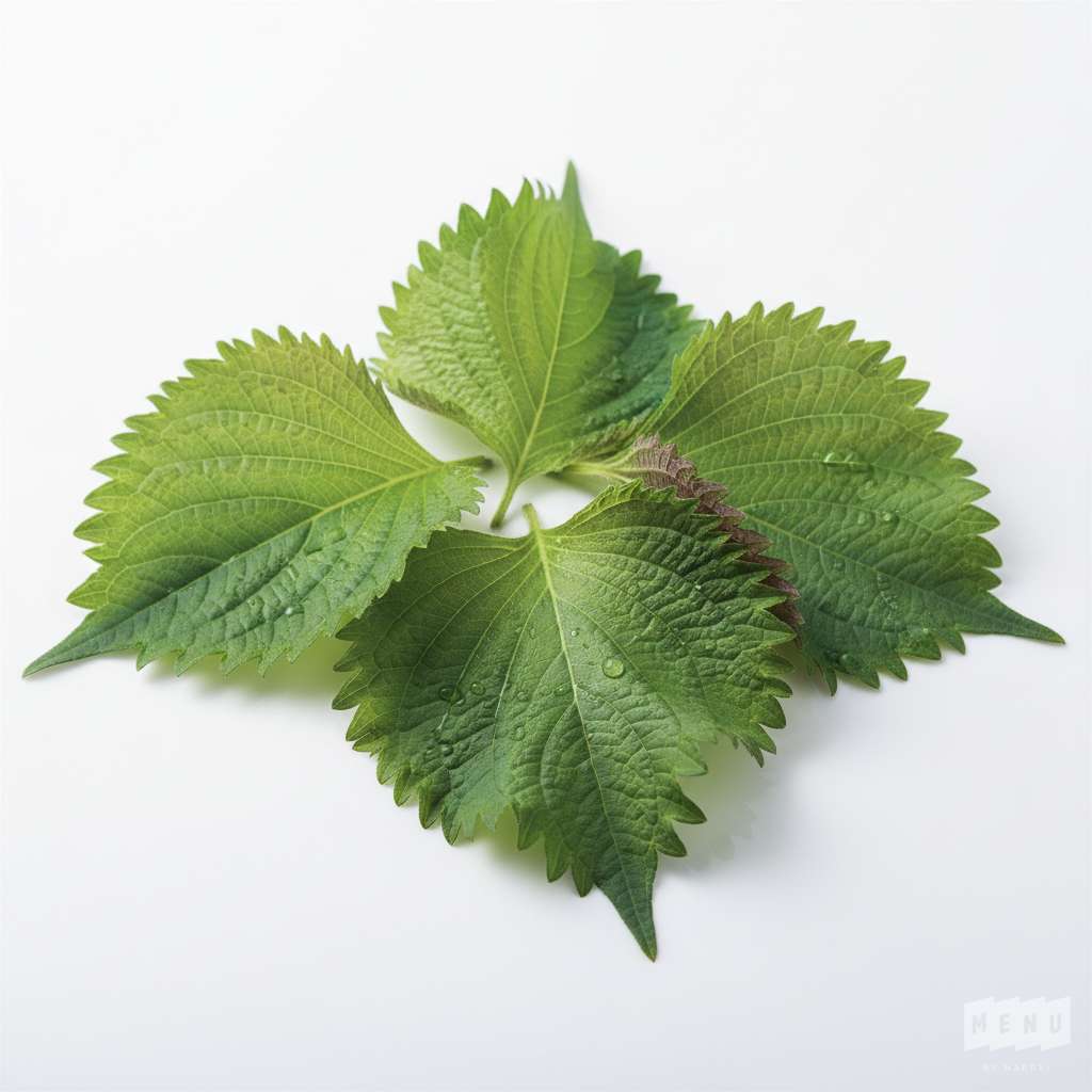 Shiso Vert
