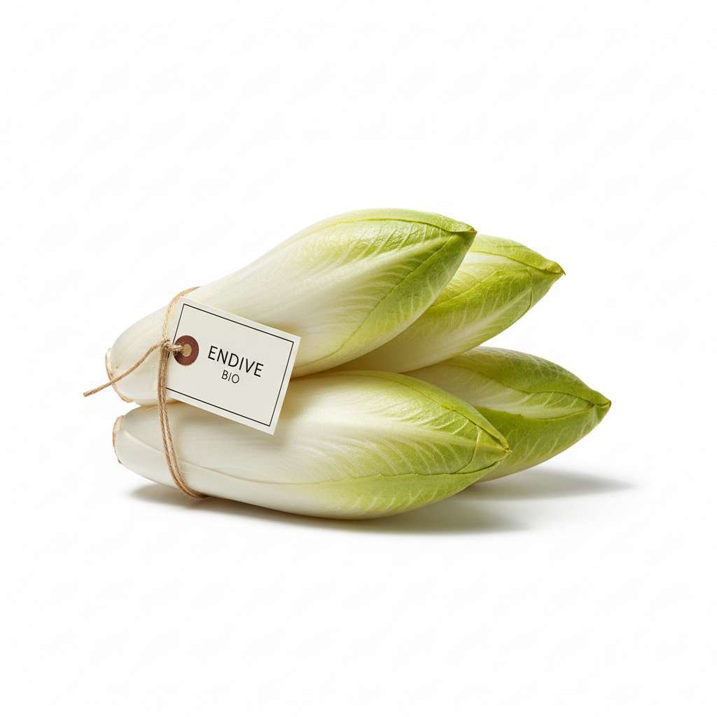 Endive Bio