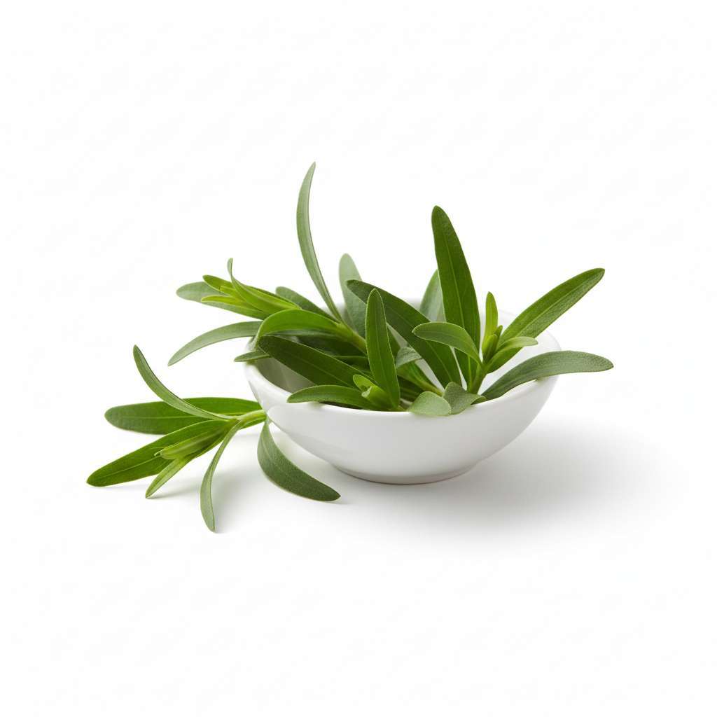 Feuille d'Estragon