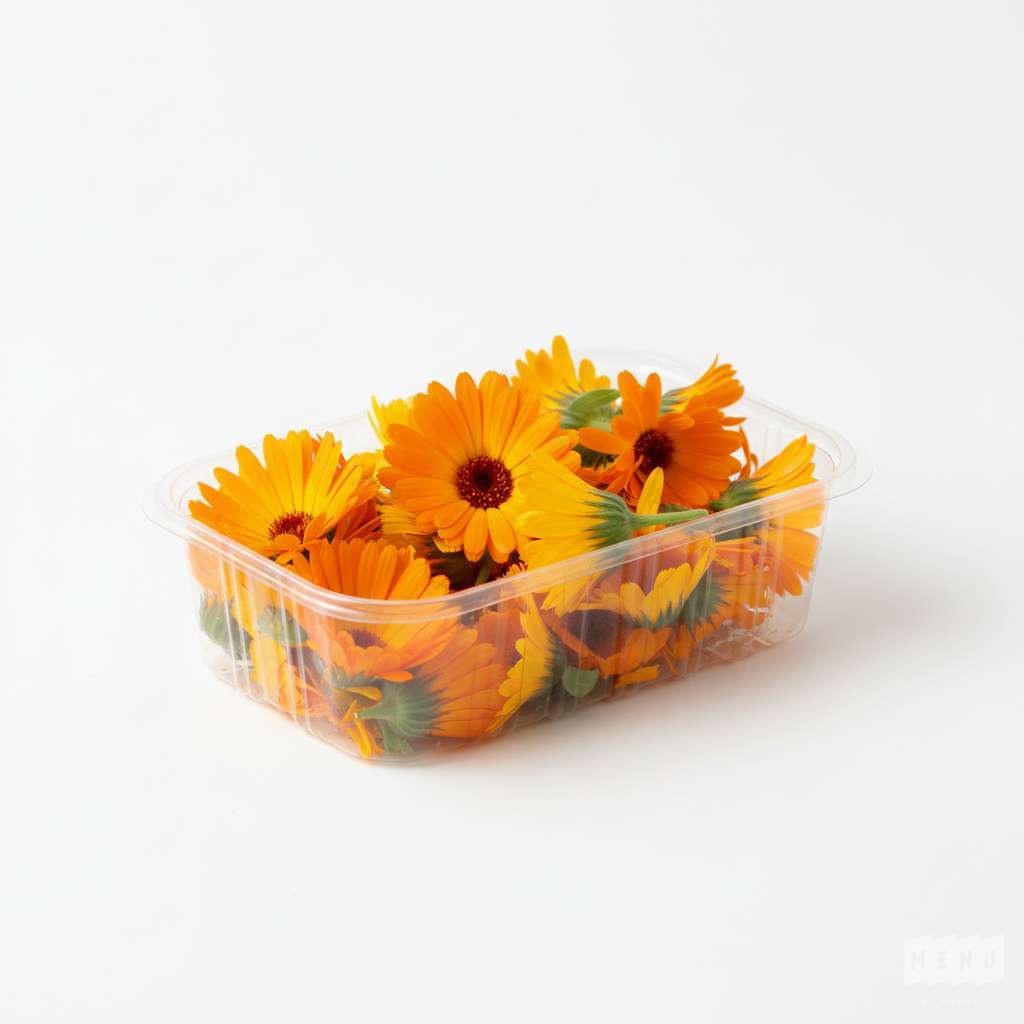 Fleur de Souci (Barquette)
