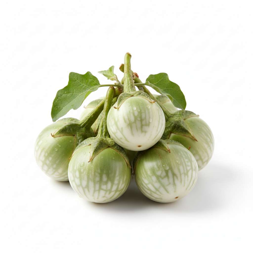 Aubergine Ronde Thai