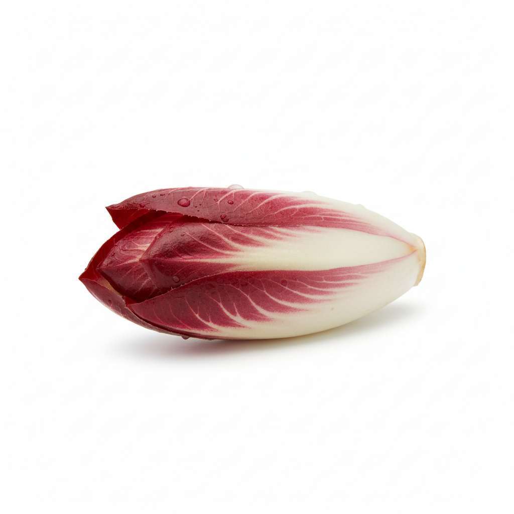 Endive Rouge