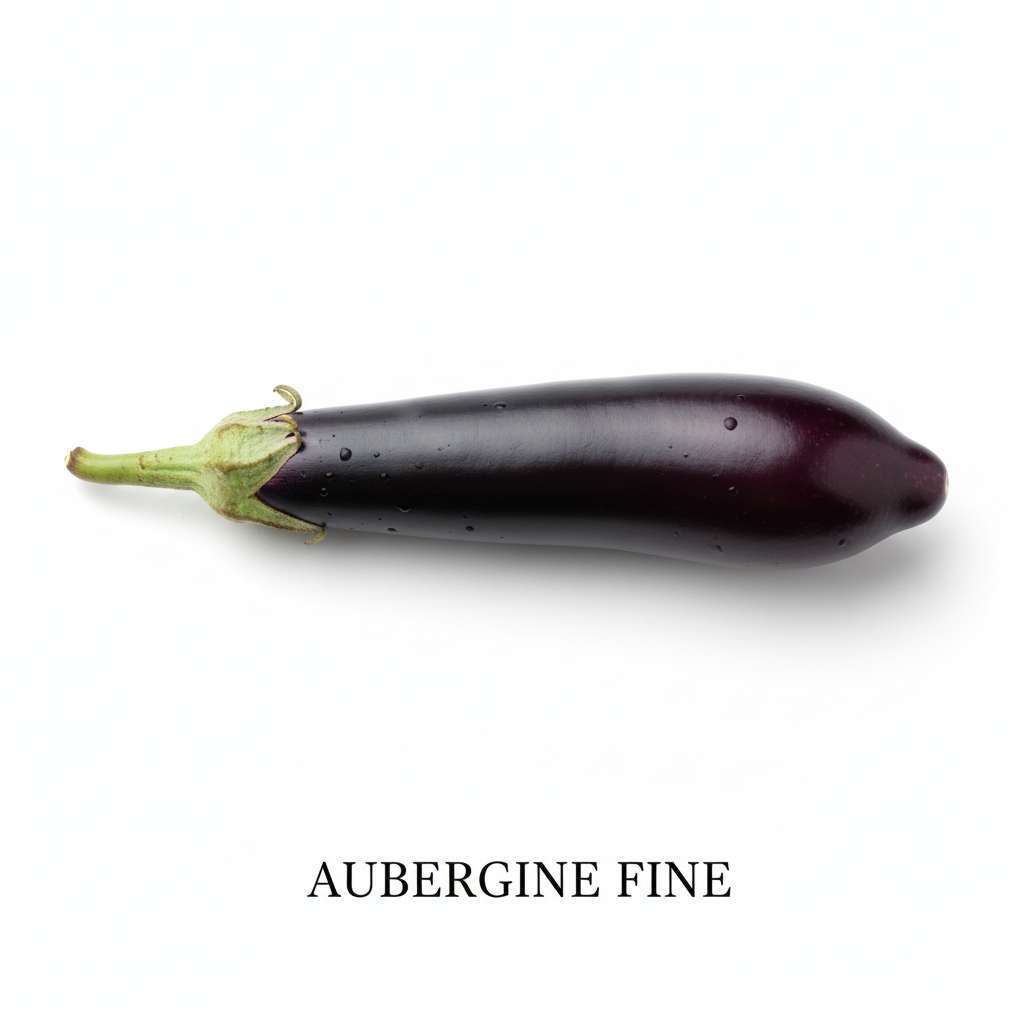 Aubergine Fine